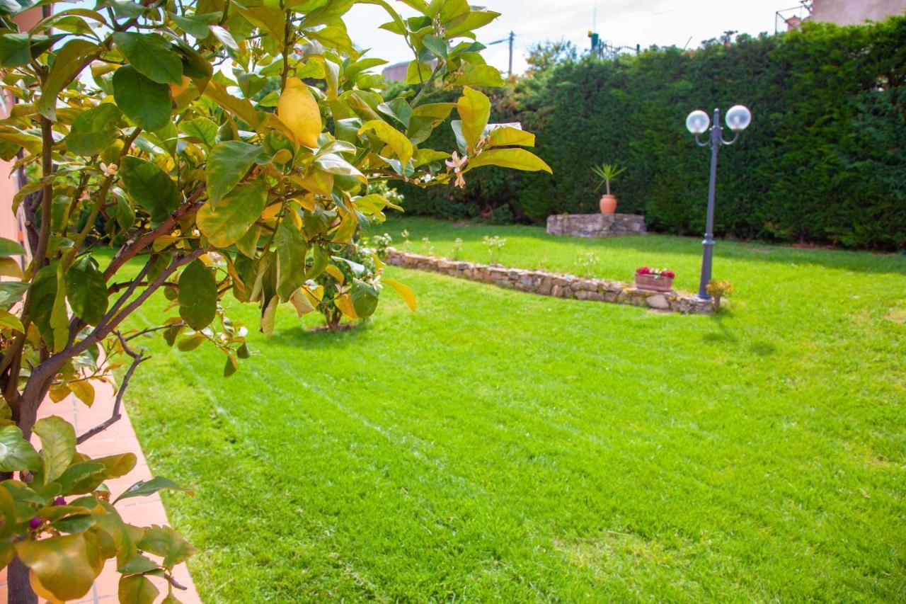 Villa Maddalena 圣雷默 外观 照片